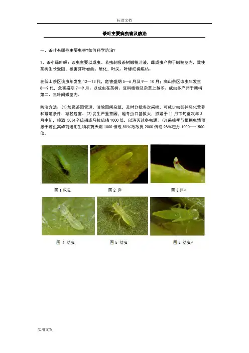 茶园主要病虫害及其防治(有配图)