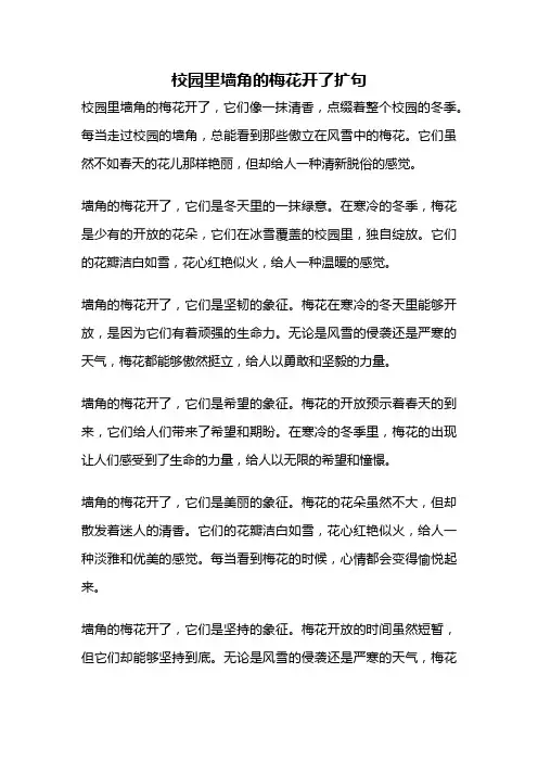 校园里墙角的梅花开了扩句