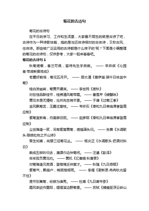 菊花的古诗句