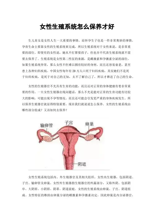 女性生殖系统怎么保养才好