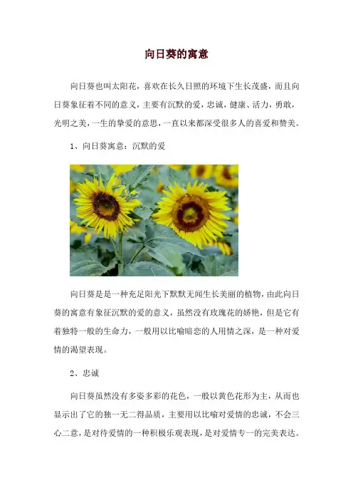 向日葵的寓意