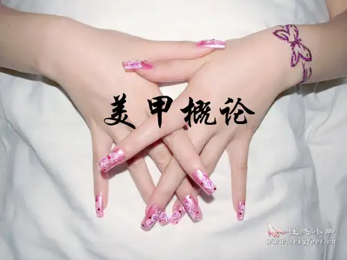 美甲基础理论