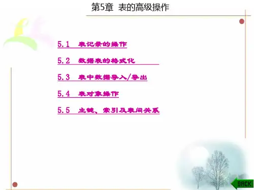 精品课件-Access数据库-第5章