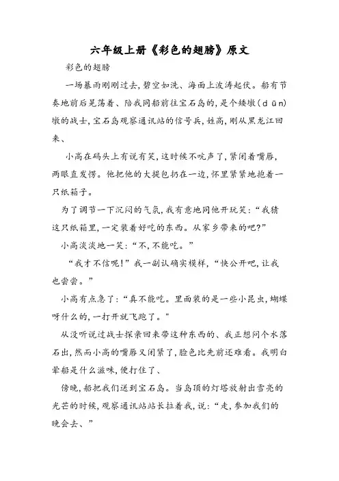 六年级上册《彩色的翅膀》原文
