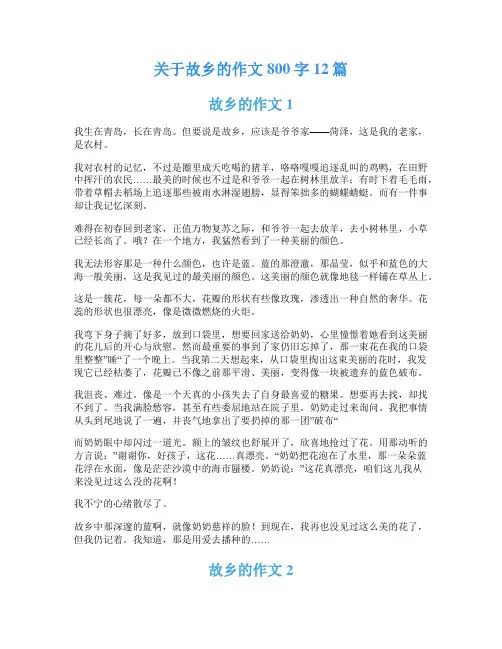 关于故乡的作文800字12篇