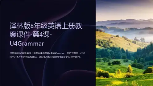 译林版8年级英语上册教案课件-第4课-U4Grammar