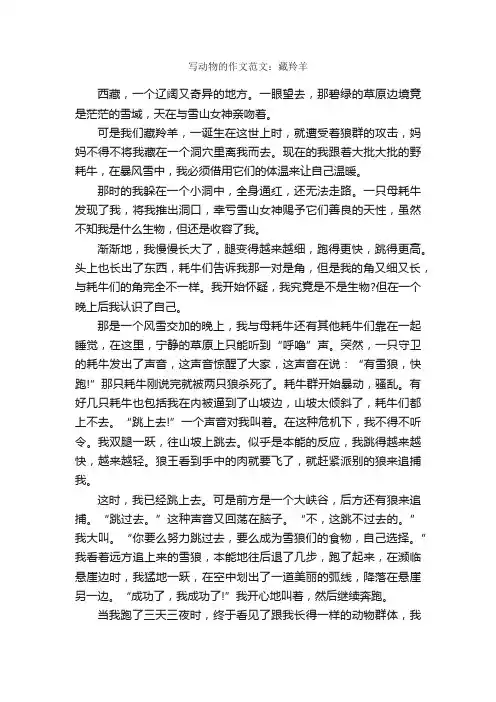 写动物的作文范文：藏羚羊_作文800字_描写动物的作文_