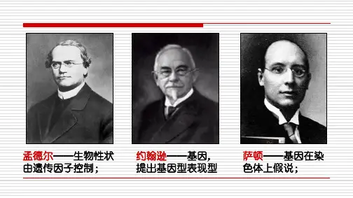 3.1DNA是主要的遗传物质—人教版高中生物必修二课件(共40张PPT)
