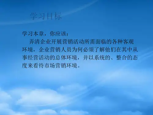 市场营销第4章市场营销环境