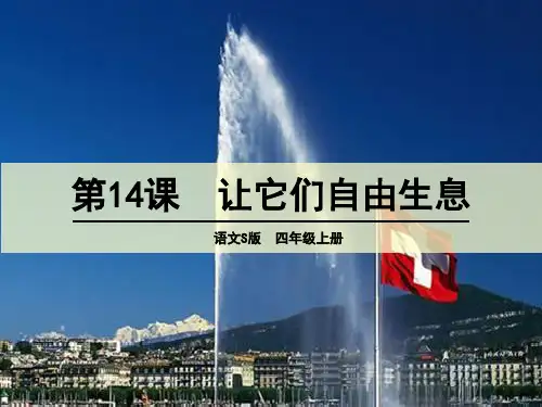 让它们自由生息 课件