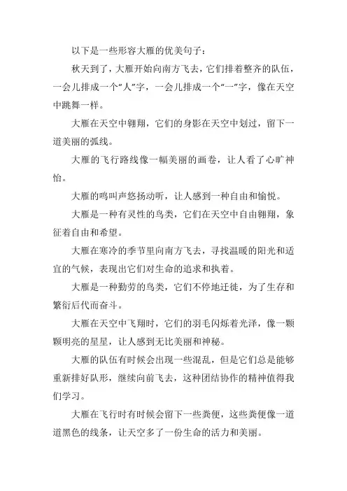 形容大雁的优美句子