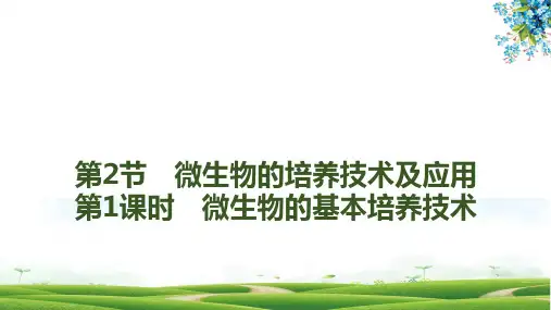 人教版(新教材)高中生物选择性必修3精品课件：1 2 1 微生物的基本培养技术