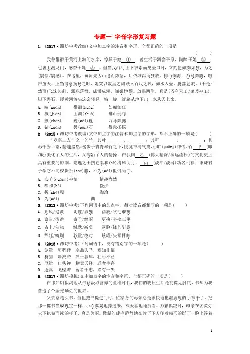 (潍坊专版)2018年中考语文复习 专项练习(打包15套)