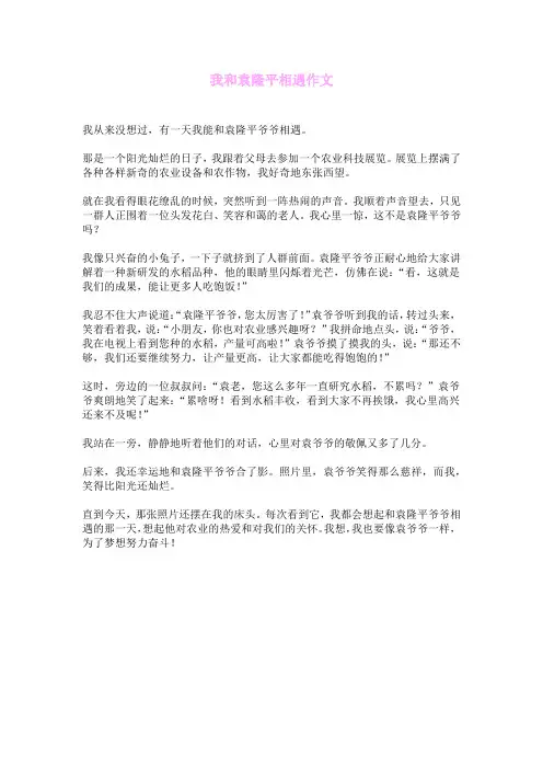 我和袁隆平相遇作文