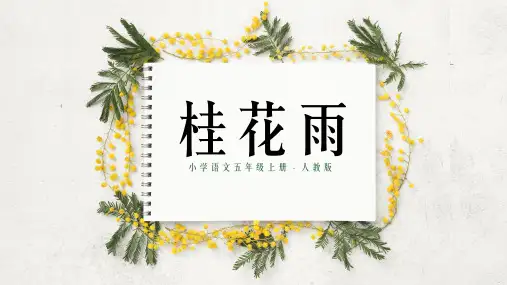 小学语文五年级《桂花雨》教学课件(共31张PPT)