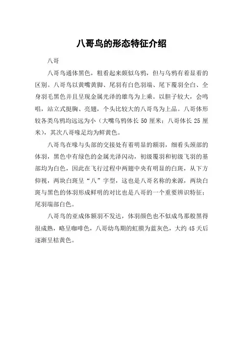 八哥鸟的形态特征介绍