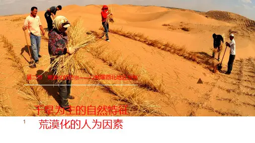 高二地理人教新课标版必修3 第二章 第一节 荒漠化的防治——以我国西北地区为例(共20张PPT)[优秀课件资料]