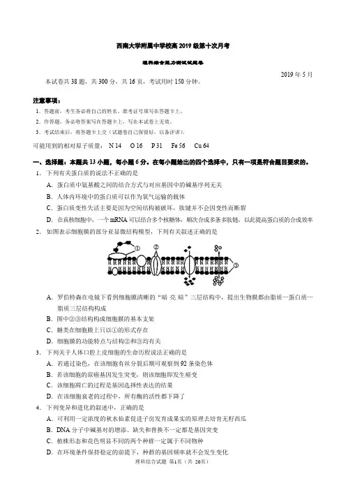 重庆西南大学附属中学校2019届高三第十次月理科综合能力测试试题卷
