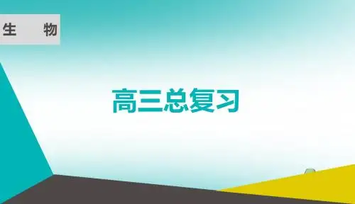 (通用版)2019版高考生物微一轮复习第四单元细胞的生命历程第十四讲减数分裂与有丝分裂的比数及应用课件