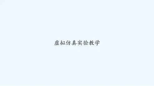 虚拟仿真实验教学 PPT