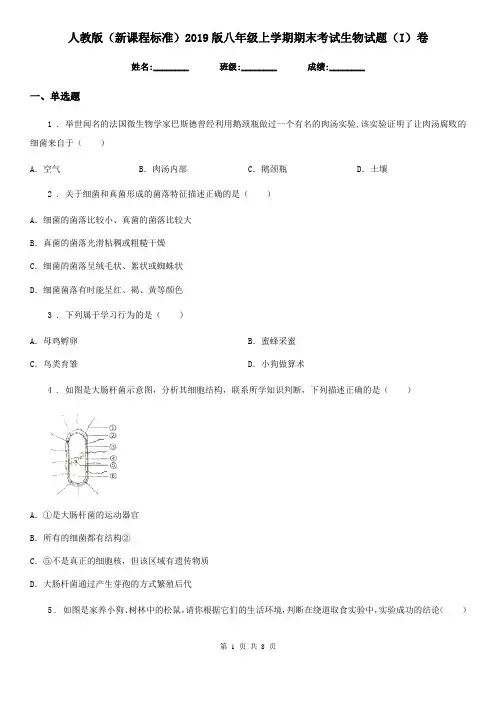 人教版(新课程标准)2019版八年级上学期期末考试生物试题(I)卷
