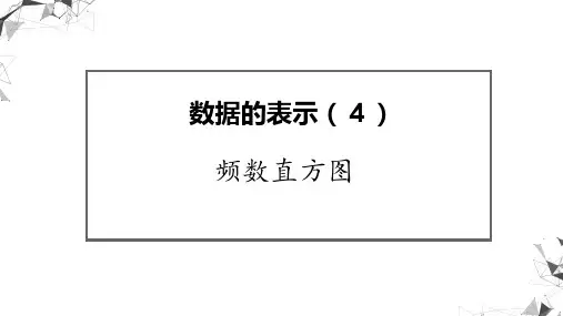 数据的表示课件