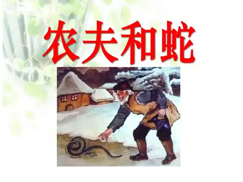 《农夫和蛇》PPT课件