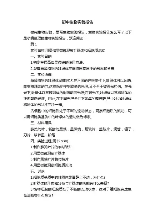 初中生物实验报告