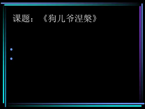 狗儿爷涅盘ppt实用课件