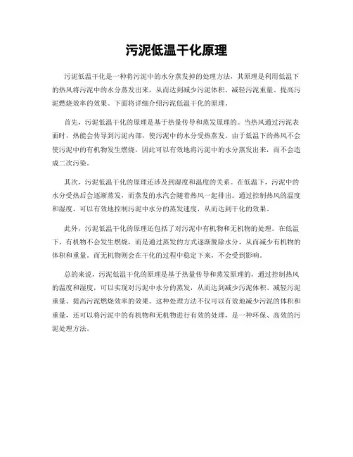 污泥低温干化原理