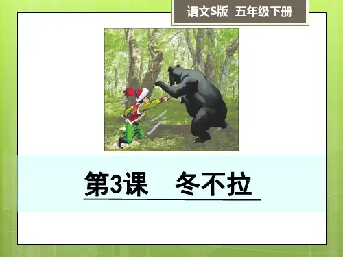 五年级下册语文课件-3 冬不拉∣语文S版(共36张PPT)