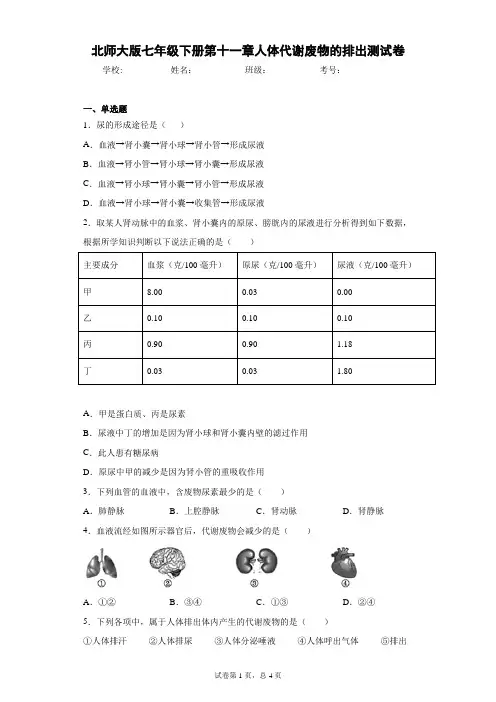 2020-2021学年 北师大版七年级下册第十一章人体代谢废物的排出测试卷(Word版 含答案)