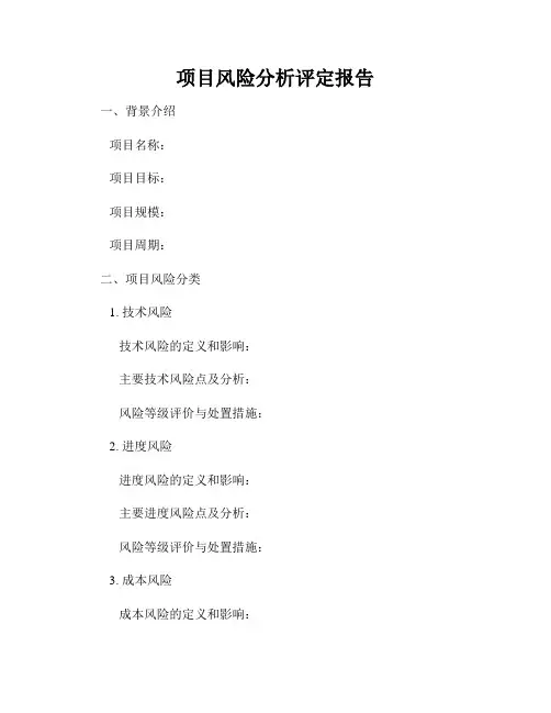 项目风险分析评定报告