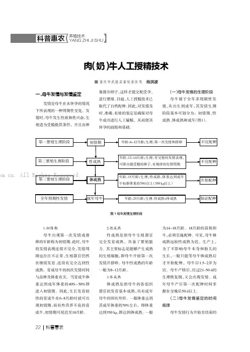 肉（奶）牛人工授精技术