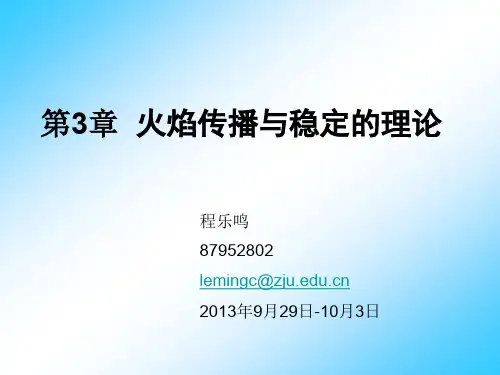 浙大高等燃烧学火焰传播与稳定_程乐鸣_2013_9