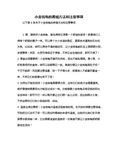 小金钱龟的养殖方法和注意事项