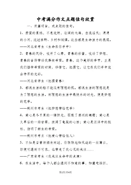 中考满分作文点题佳句欣赏