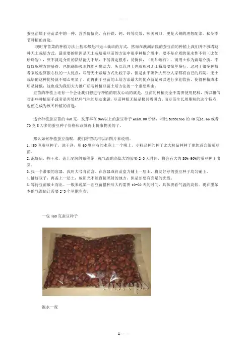蚕豆苗种植方法
