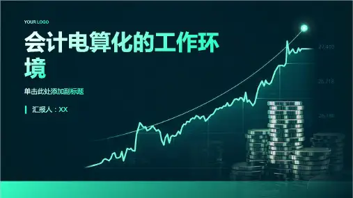会计电算化的工作环境