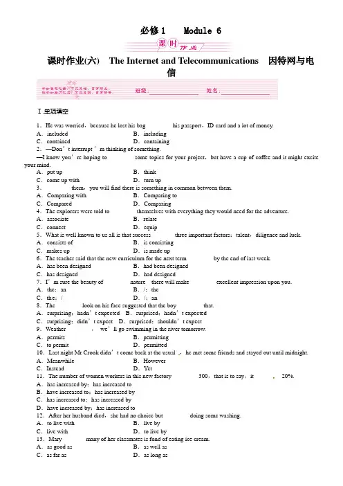 外研版高中英语必修1Module6TheInternetandTelecommunications同
