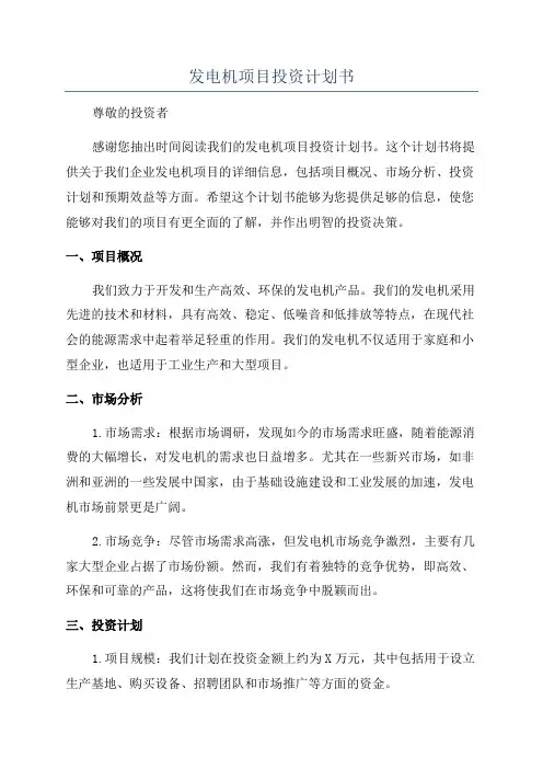发电机项目投资计划书