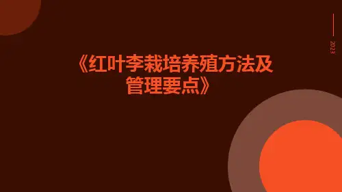 红叶李栽培养殖方法及管理要点
