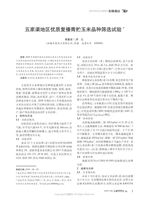 五家渠地区优质复播青贮玉米品种筛选试验