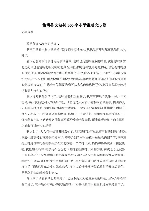 核桃作文范例600字小学说明文5篇
