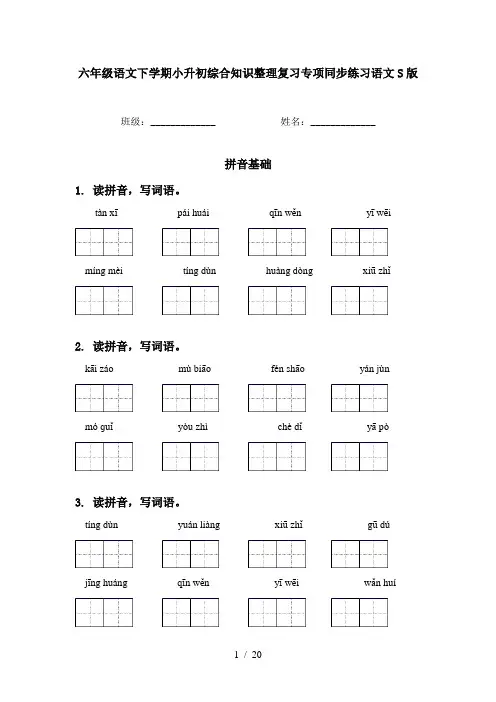 六年级语文下学期小升初综合知识整理复习专项同步练习语文S版