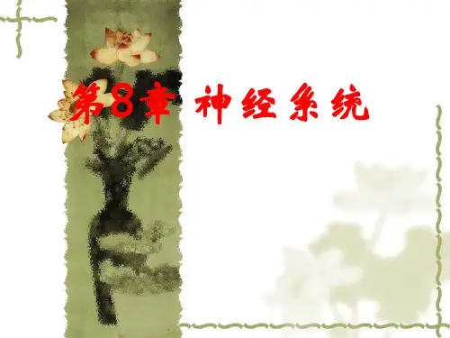 组织学与胚胎学课件：第8章 神经系统
