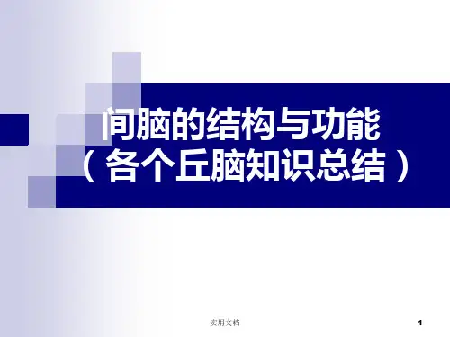 间脑的结构与功能