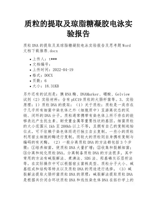 质粒的提取及琼脂糖凝胶电泳实验报告