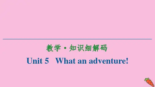 新教材高中英语Unit5Whatanadventure教学知识细解码课件外研版必修第三册ppt