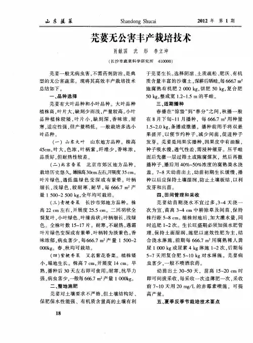 芫荽无公害丰产栽培技术